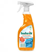 Ludwik Pyn do mycia zatuszczonych powierzchni Active foam Exotic Fruits 600 ml