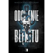 Odcienie b��kitu. Seria Odcienie. Tom 3