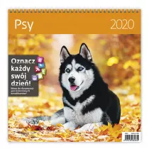 Kal 2020 Psy 30x30