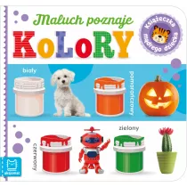 Maluch poznaje kolory. Ksieczka mdrego dziecka