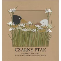 Czarny Ptak