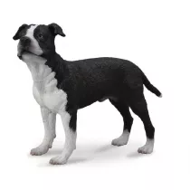 Pies ameryka�ski saffordshire terrier