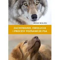 Zachowanie, ewolucja i procesy poznawcze psa