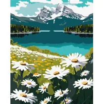 Ideyka Malowanie po numerach - Kwitn�ce stokrotki 40x50cm