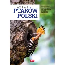 Atlas ptak�w Polski (twarda)
