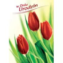 Art Nuvo Karnet B6 Kwiaty - W dniu urodzin