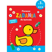 Pierwsze zadania dla bystrzaka