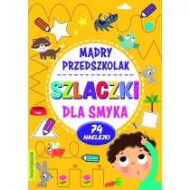 Szlaczki dla smyka. Mdry Przedszkolak
