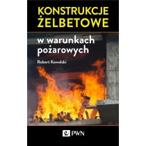 Konstrukcje �elbetowe w warunkach po�arowych