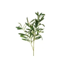 Gazka oliwna 91cm