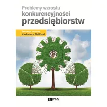 Problemy wzrostu konkurencyjno�ci przedsi�biorstw