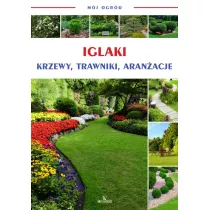 Mj ogrd Iglaki krzewy drzewa trawy