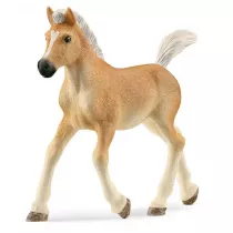 �rebak rasy haflinger slh13951