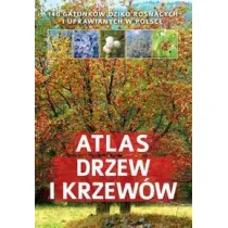 Atlas drzew i krzew�w