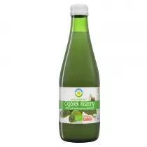 Bio Food Sok z ogrkw kiszonych 300 ml Bio