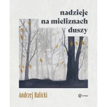 Nadzieje na mieliznach duszy