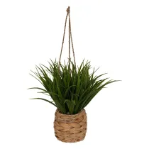 Atmosphera Wiszca rolina ozdobna trawiasta 27 cm