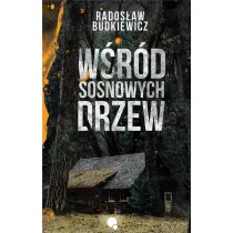 W�r�d sosnowych drzew