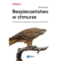 Bezpiecze�stwo w chmurze