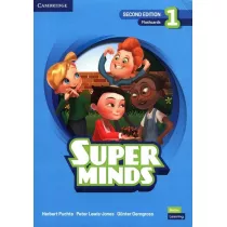 Super Minds Level 1 Flashcards British English