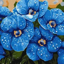 Ideyka Malowanie po numerach - Fio�ki w rosie 40x40cm