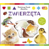 Zwierz�ta. Akademia m�drego dziecka. Kolorowy �wiat malucha