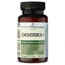 Herbapol Cholesterol+ Suplement diety 90 kaps.