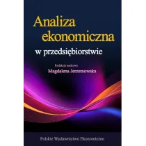 Analiza ekonomiczna w przedsi�biorstwie