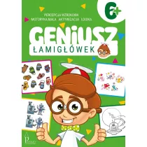 Geniusz amigwek 6+