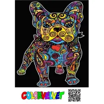 Kolorowanka Welwetowa 47x35 cm Buldog Francuski