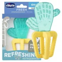 Gryzak wodny kaktus 4m+ Chicco