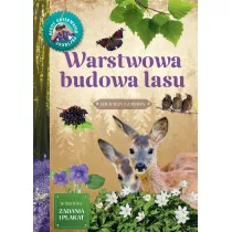 Mody Obserwator Przyrody. Warstwowa budowa lasu