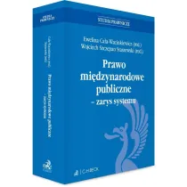 Prawo mi�dzynarodowe publiczne - zarys systemu