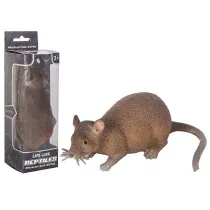 Szczur
