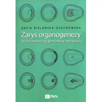Zarys organogenezy