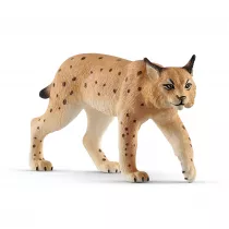 Ry