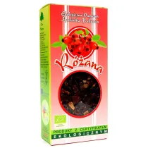 Dary Natury Herbatka r�ana 100 g Bio