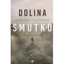 Dolina smutku