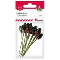 Titanum Gazki ostrokrzewu 1,5 x 3,0 cm