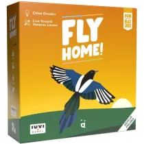 Helvetiq. Fly Home IUVI Games