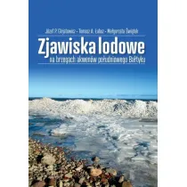 Zjawiska lodowe na brzegach akwen�w po�udniowego..