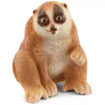 Kukang