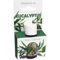 Admit Olejek zapachowy Eukaliptus 10 ml