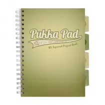 Pukka Pad Project Book B5 Olive Green Oliwkowy kratka, 80g 100 kartek