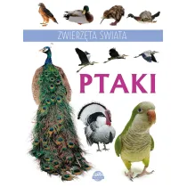 Zwierz�ta �wiata. Ptaki