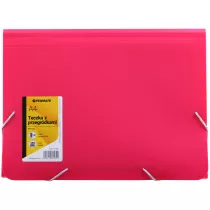 Penmate Teczka z 13-ma przegrdkami A4 PP-104 rowa