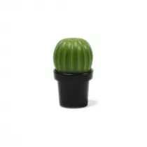Qualy Mynek do soli lub pieprzu Tasty Cactus 10252-BK-GN