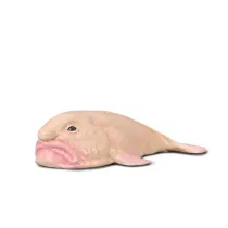 Psychorolutes Marcidus Blobfish
