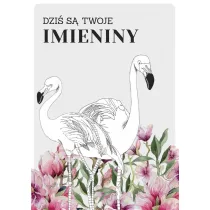 Kukartka Karnet B6 PP-2201 Imieniny