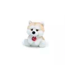 Fluffy Akita Trudi